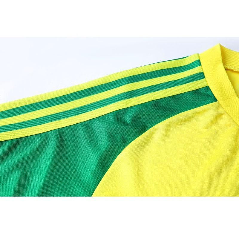 Camisa Retrô País de Gales II 1982