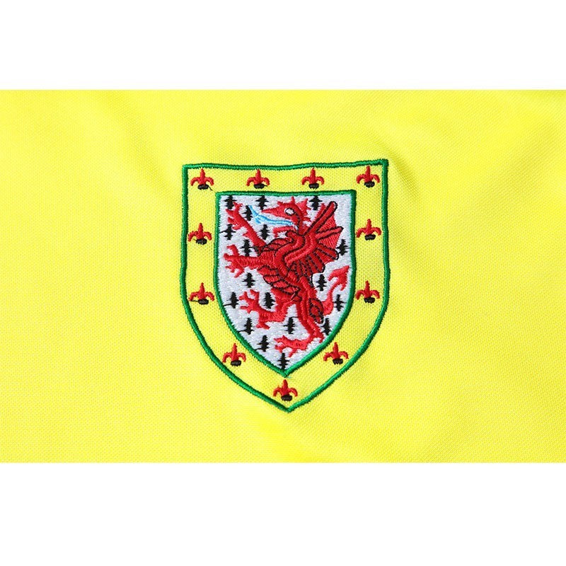 Camisa Retrô País de Gales II 1982