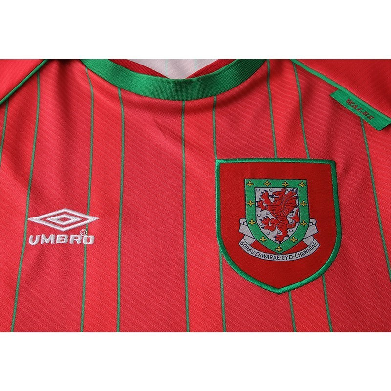 Camisa Retrô País de Gales I 1994/96