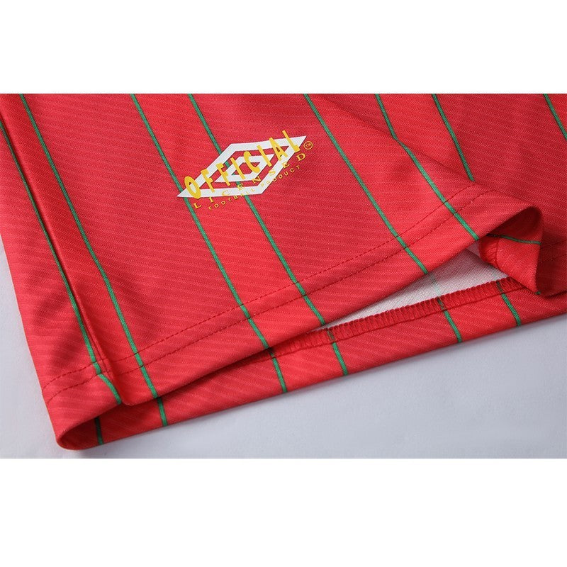 Camisa Retrô País de Gales I 1994/96