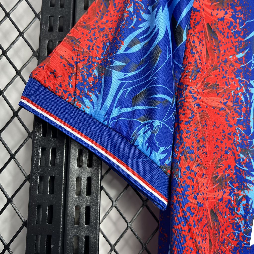 Camisa Crystal Palace l 2024/25 Torcedor Masculina