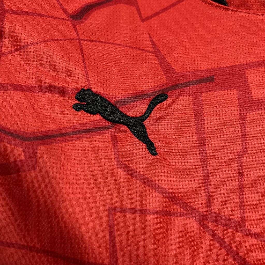 Camisa Stade Rennais l 2024/25 Torcedor Masculina