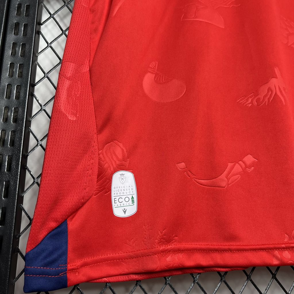 Camisa Osasuna l 2024/25 Torcedor Masculina