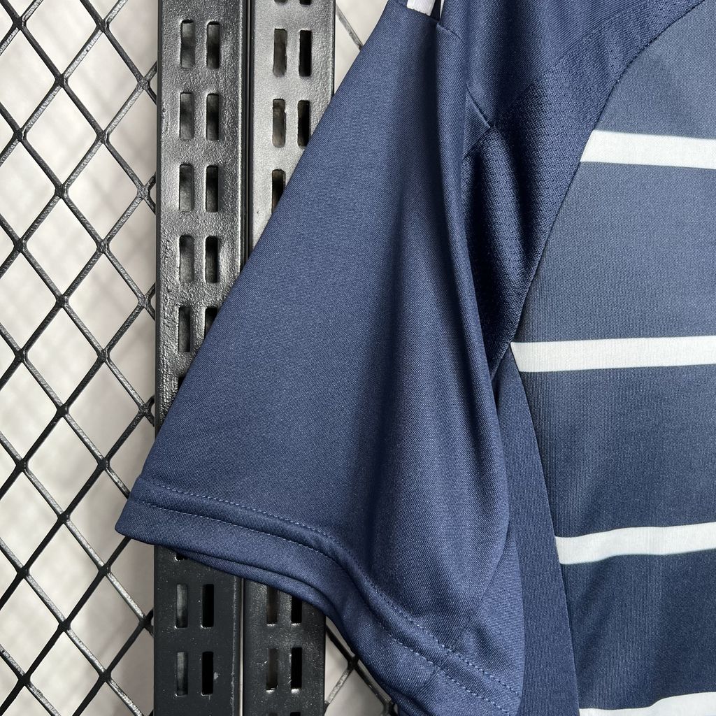 Camisa Hamburgo ll 2024/25 Torcedor Masculina