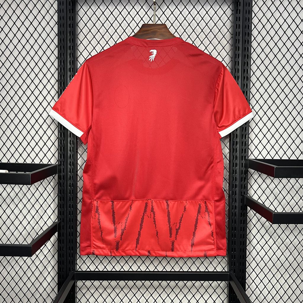 Camisa Freiburg l 2024/25 Torcedor Masculina