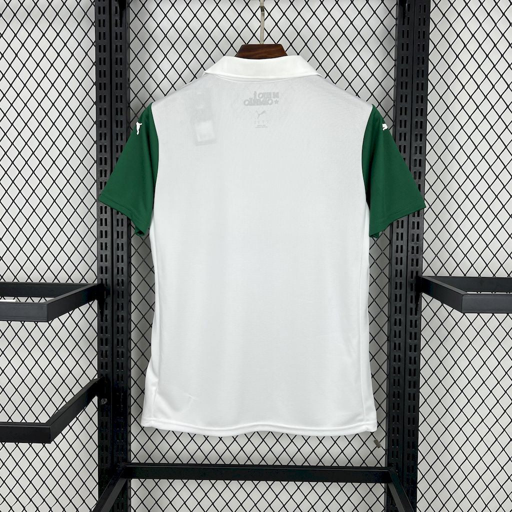 Camisa Palmeiras ll 2025/26 Torcedor Masculina