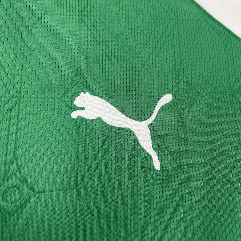 Camisa Palmeiras l 2025/26 Torcedor Masculina