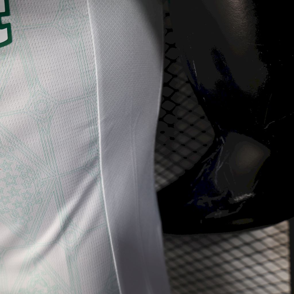 Camisa Palmeiras ll 2025/26 Jogador Masculina