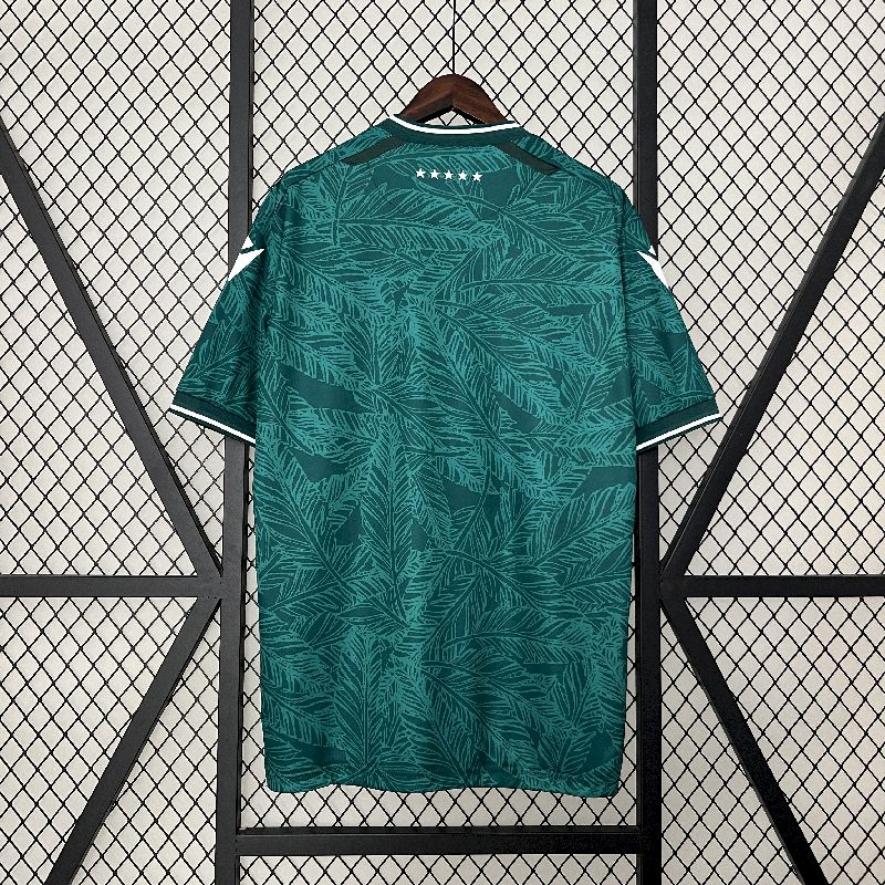 Camisa Santiago Wanderers l 2024/25 Torcedor Masculina