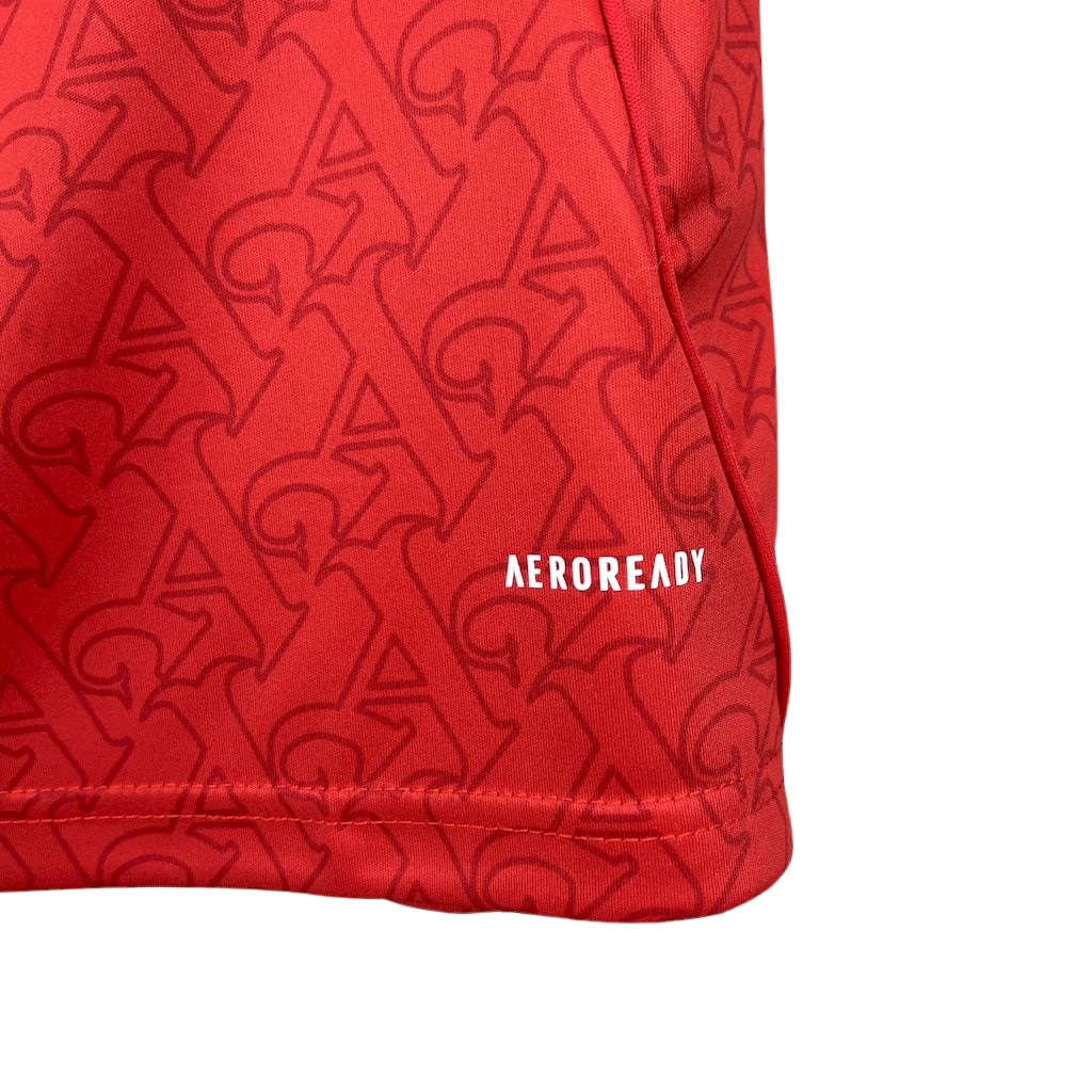 -camiseta-arsenal-home-25-26-vermelha-adidas-rice-champions-league-lancamento-europeu-