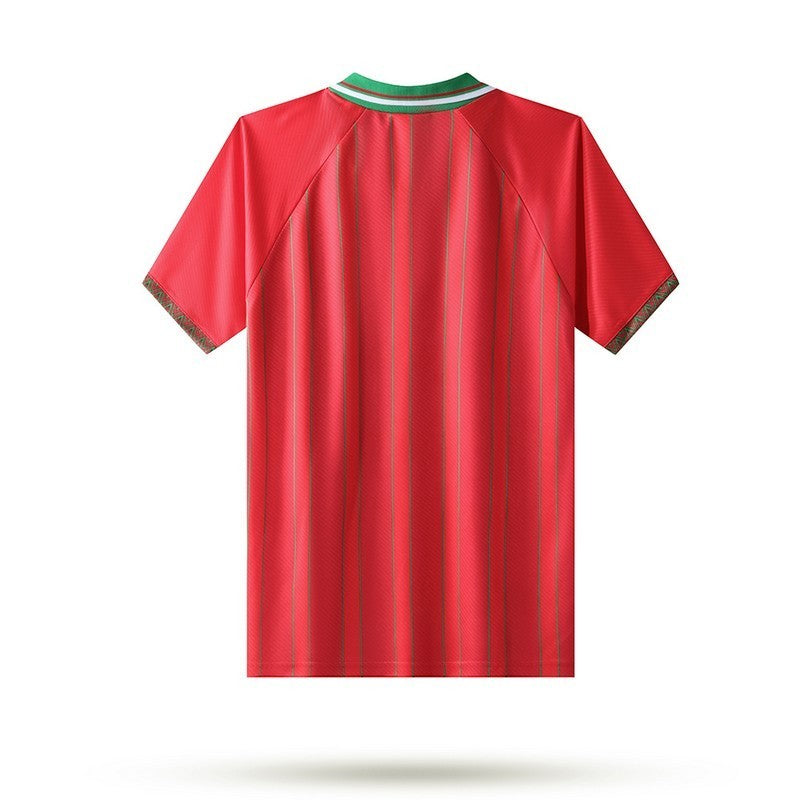 Camisa Retrô País de Gales I 1994/96