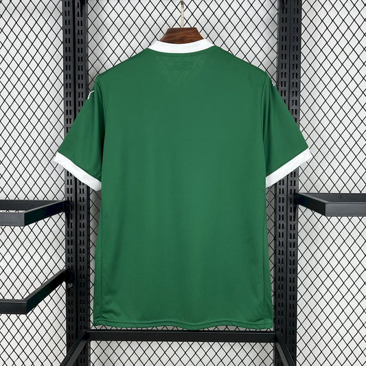 Camisa Palmeiras l 2025/26 Torcedor Masculina