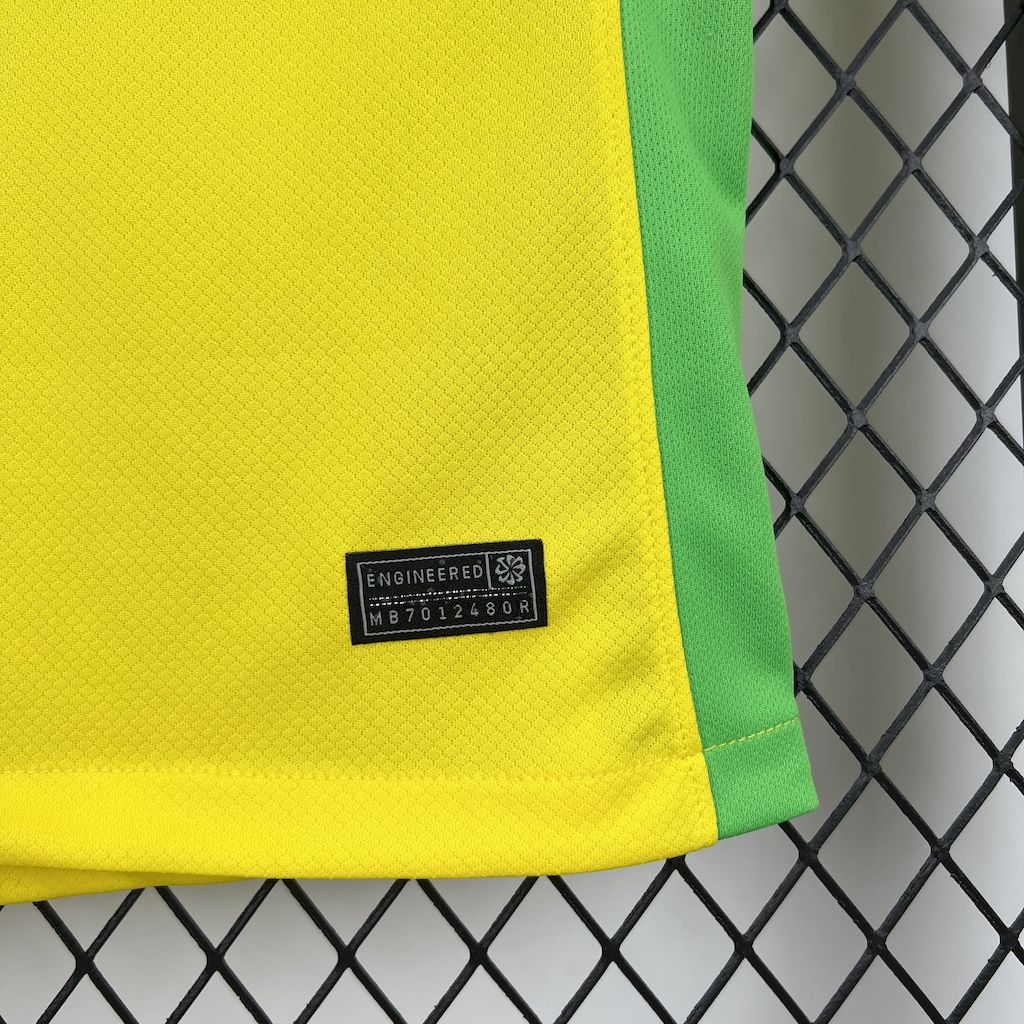 Camisa Brasil l 2025/26 Torcedor Feminina