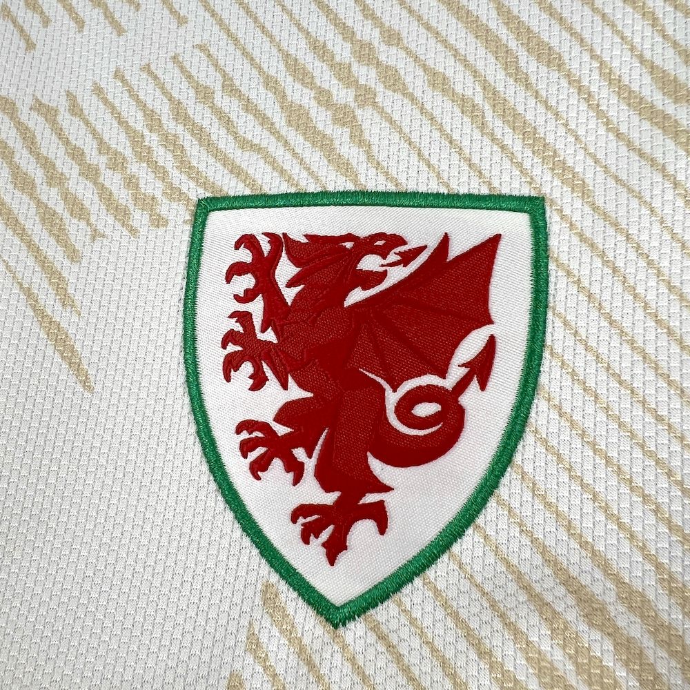 Camisa País de Gales II COPA DO MUNDO 2026 Torcedor Masculina