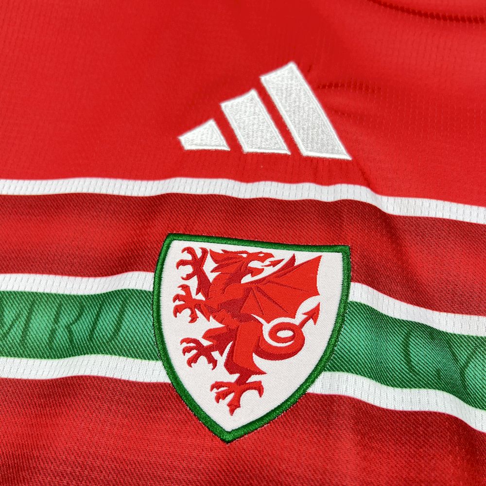 Camisa País de Gales I COPA DO MUNDO 2026 Torcedor Masculina