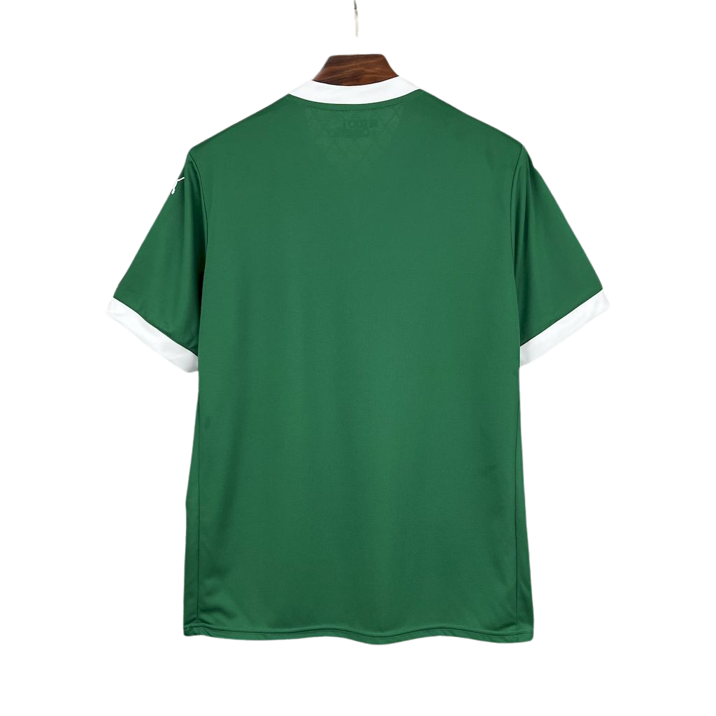 Camisa Palmeiras l 2025/26 Torcedor Masculina
