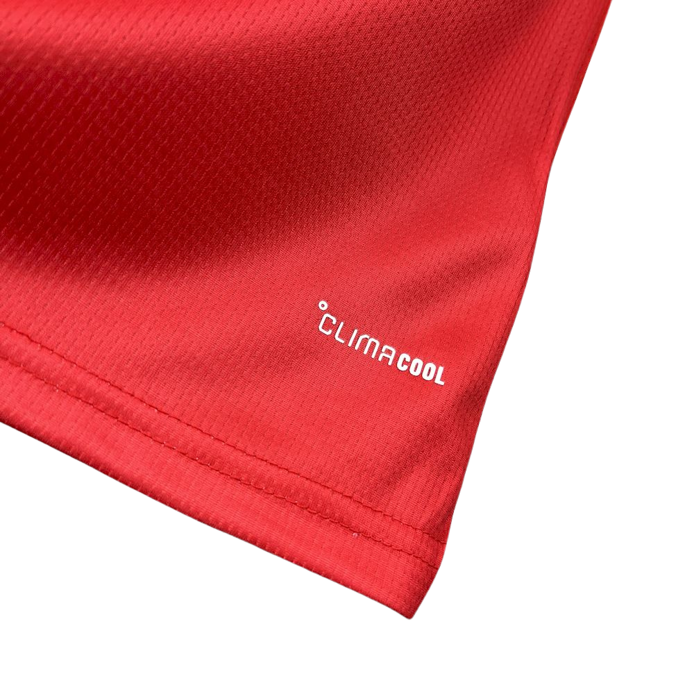 Camisa País de Gales I COPA DO MUNDO 2026 Torcedor Masculina