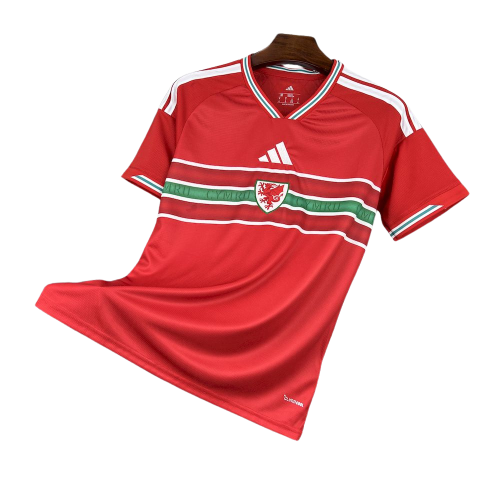 camisa pais de gales 2026 titular vermelha camiseta seleção gales masculina nova atual copa do mundo uniforme jogo futebol wales premium