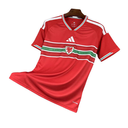 camisa pais de gales 2026 titular vermelha camiseta seleção gales masculina nova atual copa do mundo uniforme jogo futebol wales premium