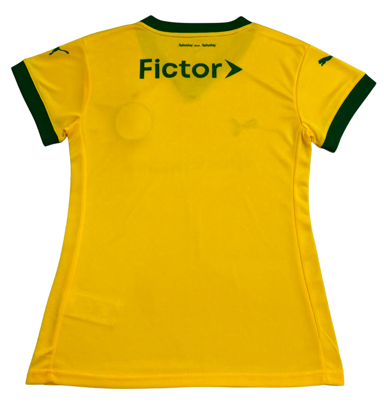 Camisa Palmeiras Ill 2025/26 Torcedor Feminina