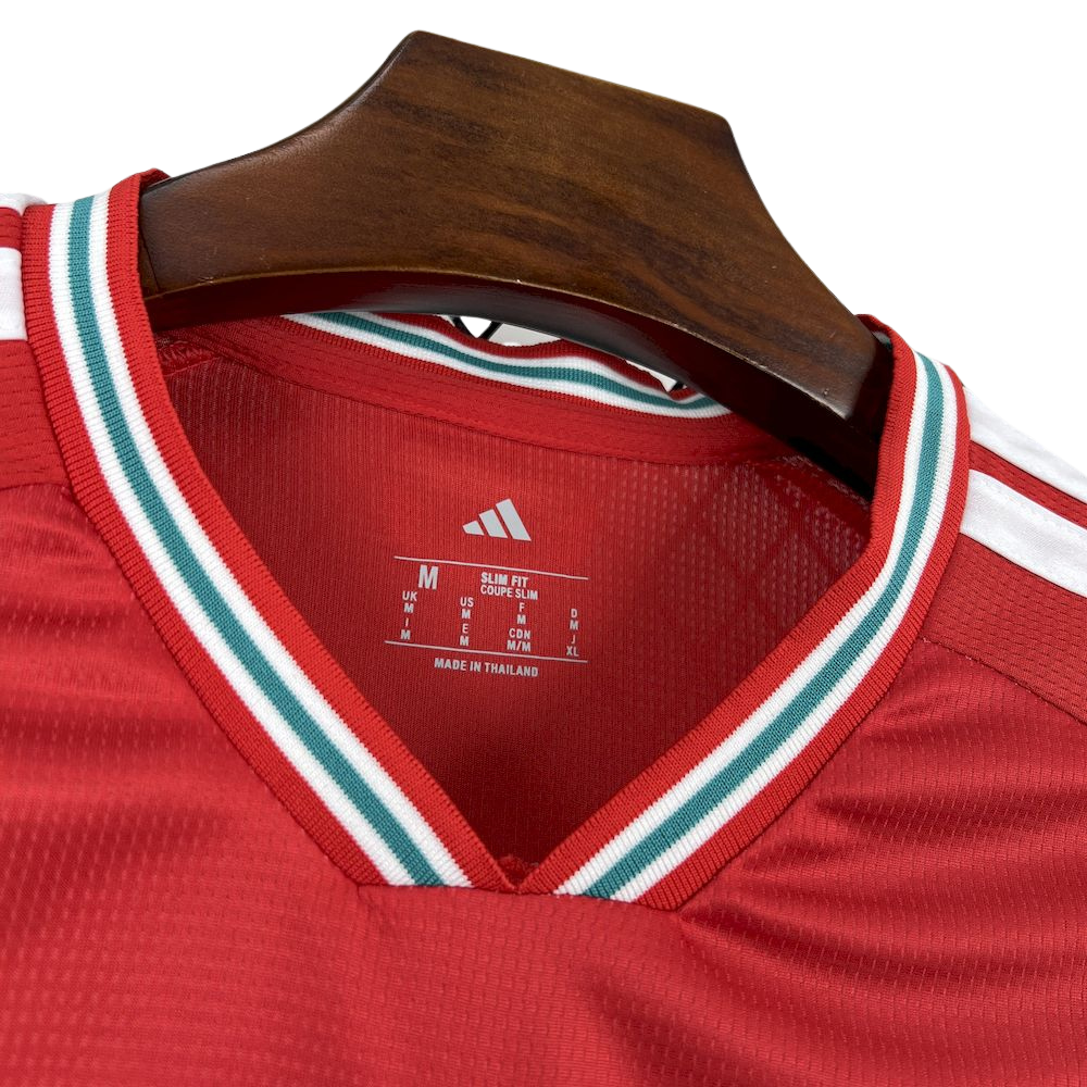 Camisa País de Gales I COPA DO MUNDO 2026 Torcedor Masculina